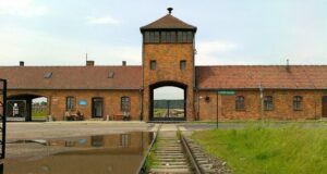 Perché si celebra la Giornata della Memoria? La storia e il suo significato Giornata Internazionale della memoria