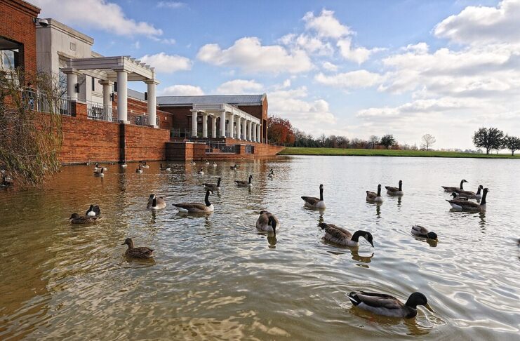 Montgomery Museum of Fine Arts