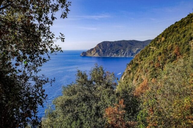 punta mesco punta mesco