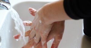 Perché ci laviamo le mani? Storia e significato della Giornata Mondiale dell’Igiene Giornata Mondiale dell’Igiene delle Mani