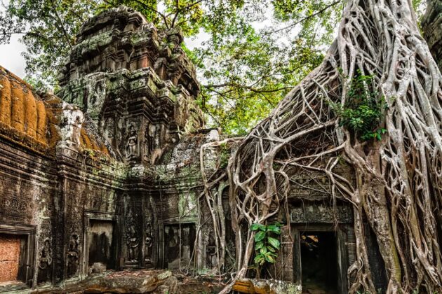 angkor templi