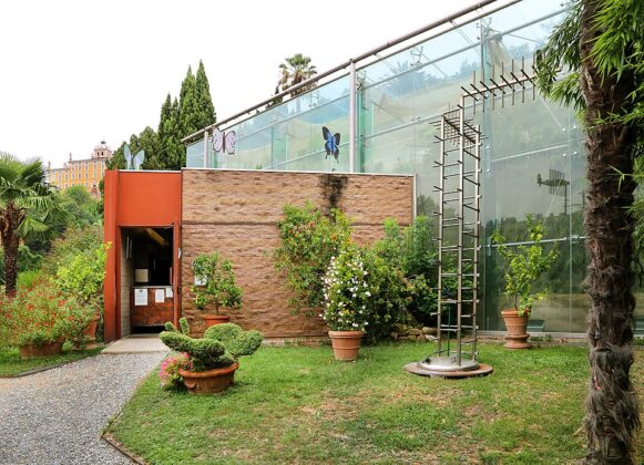 casa delle farfalle