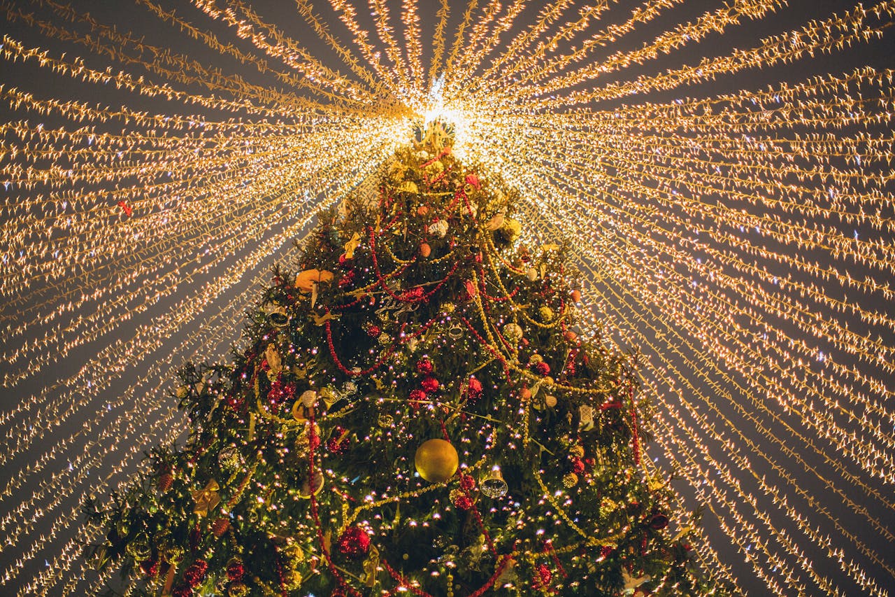 albero di natale albero di Natale