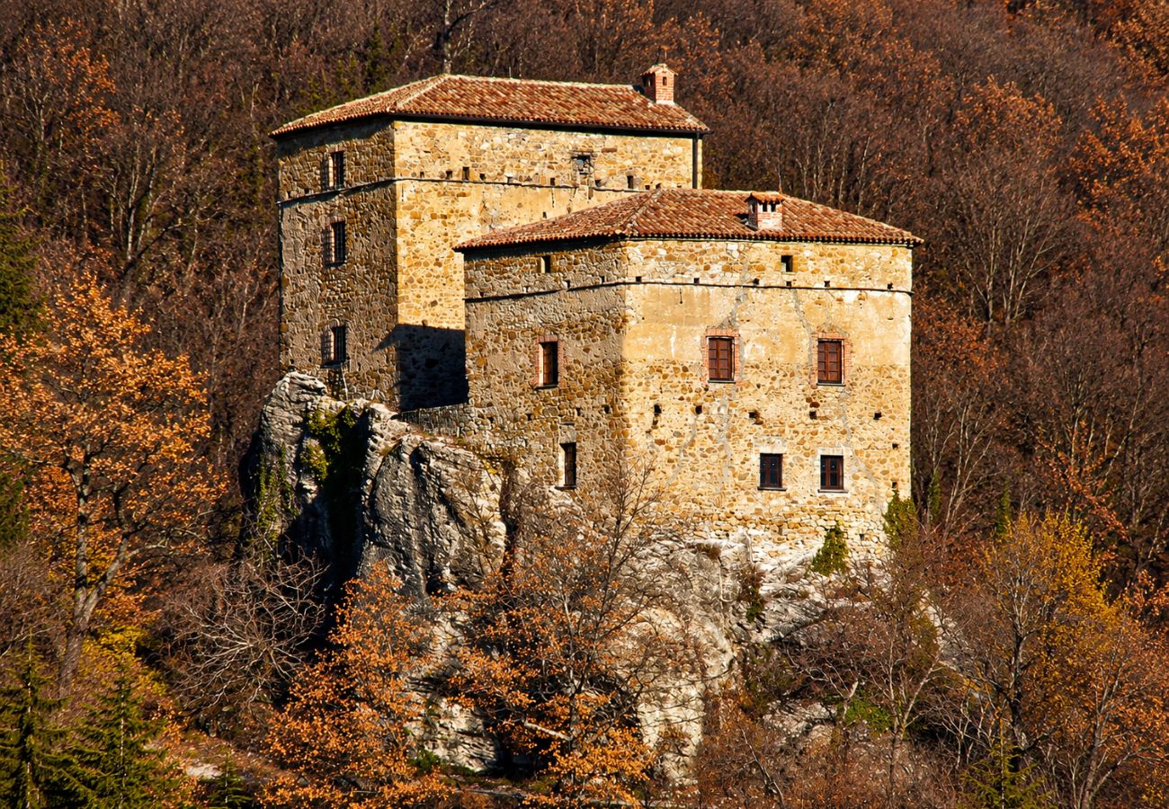 Castello del Dego