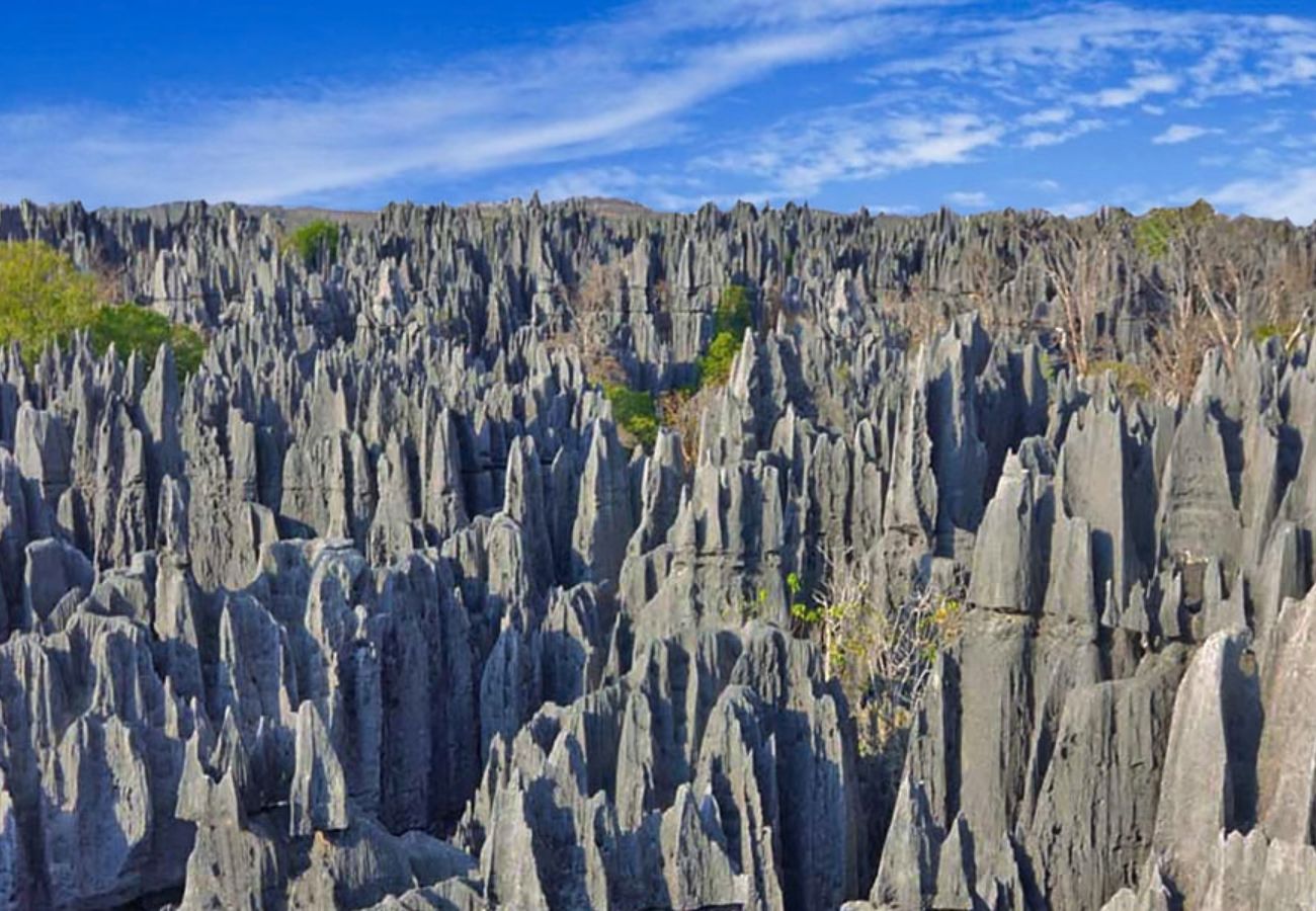 Tsingy de Bemaraha
